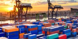 صادرات برای چه کسانی مناسب است؟